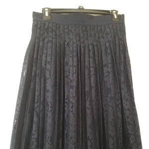 Ann Taylor New Pleated Lace Skirt